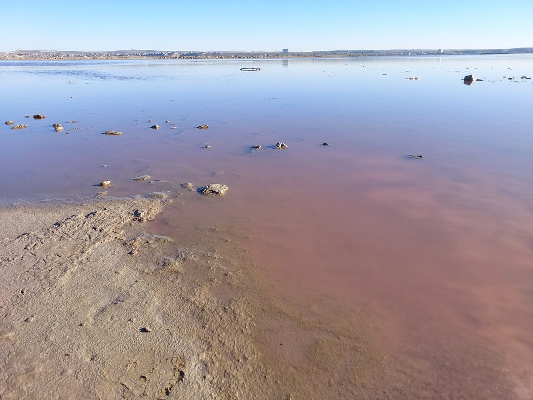 Мне очень было приятно, что Октай и Лачин были гостеприимными и дружелюбными, старались идти навстречу гостям.