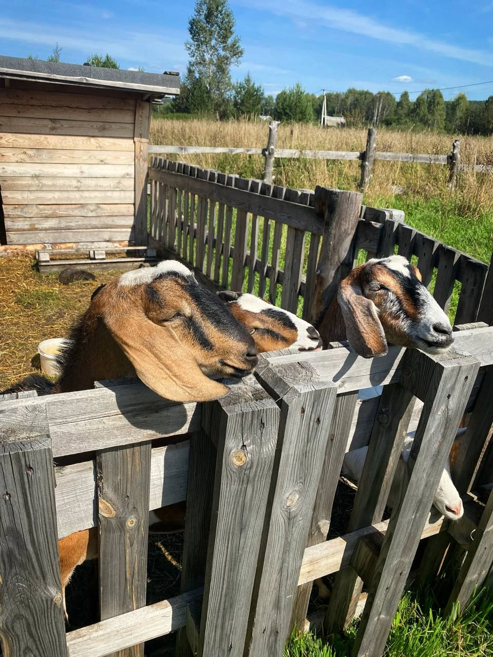 Интересно, красиво, комфортно, в меру динамично, всё запланированное посмотрели. Рекомендую!