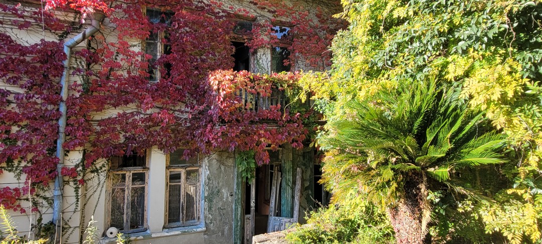 Все прошло отлично, я в полном восторге от природы Абхазии, горы это отдельная любовь, Азамат просто