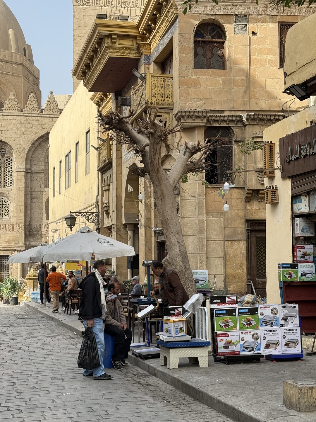 Колорит и контрасты Каира (Victoria)