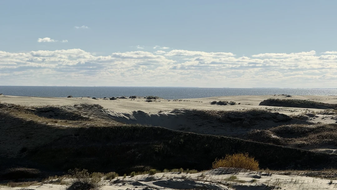 Утренняя Куршская коса из Зеленоградска на автобусе (Михаил)