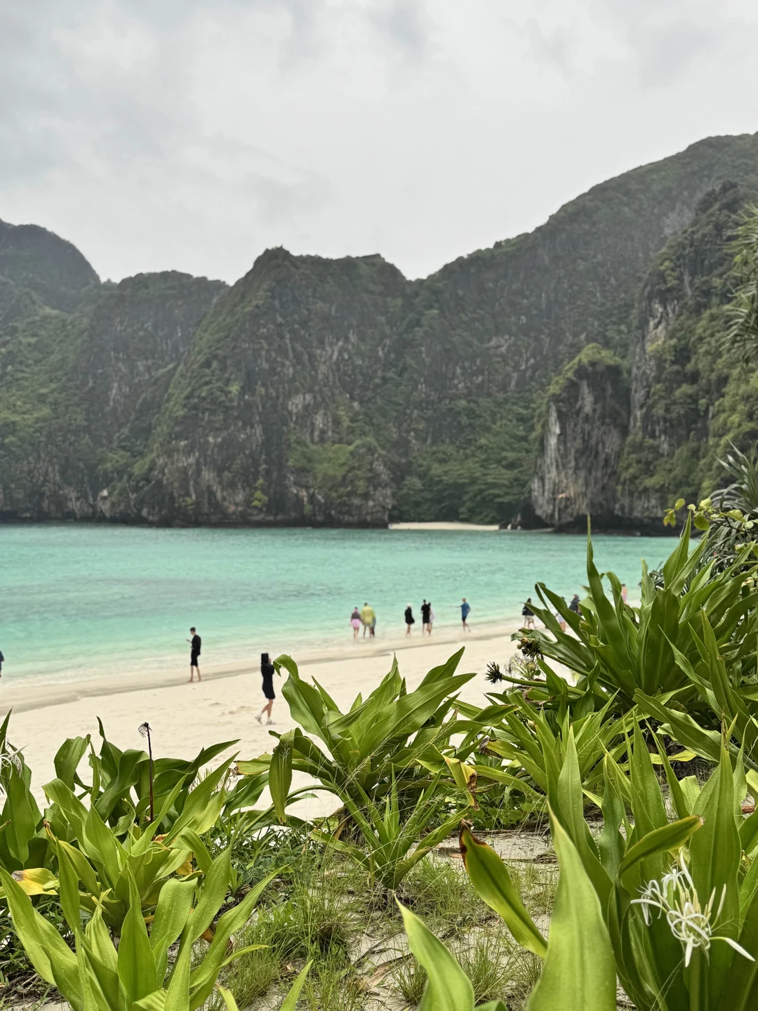 Не смотря на погодные условия. Экскурсия была очень увлекательной. Команда очень позитивная. Места удивительные. Крутые у