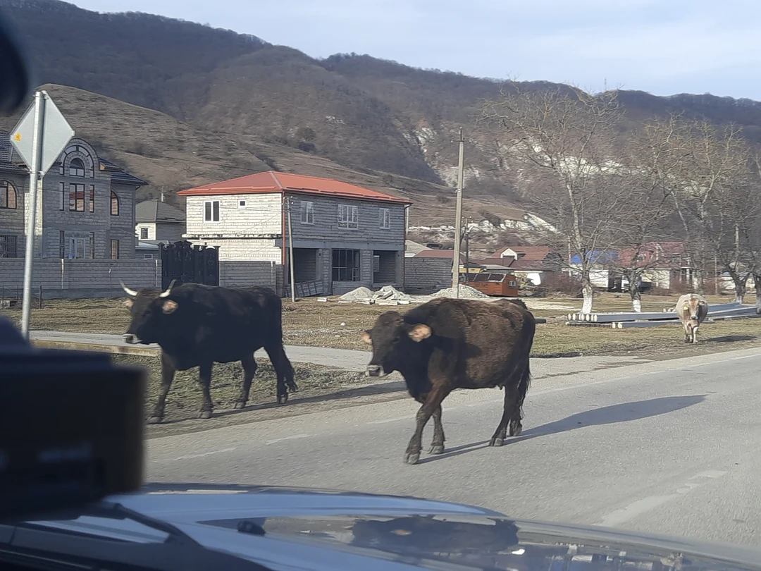 Очень насыщенная, комфортная и незабывая на впечатления поездка состоялась для нас вместе с Азаматом. Нам очень