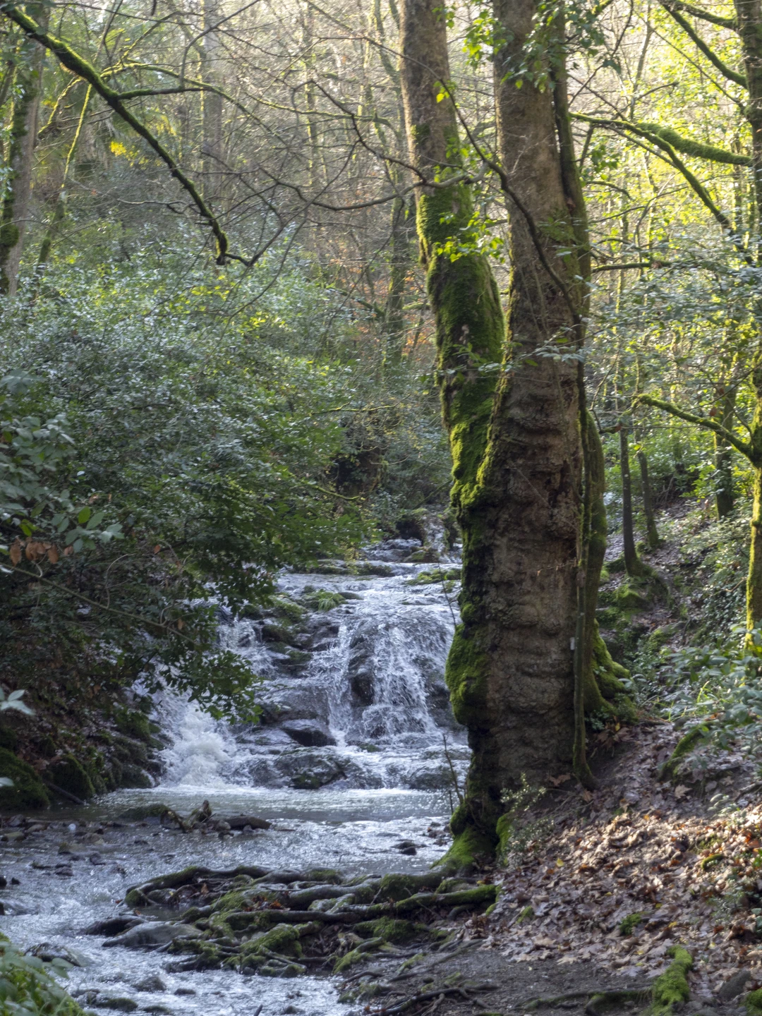 Отличная экскурсия. Рекомендую ее не сразу после прибытия в Стамбул, а после экскурсий по городу. Это