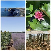 Фото отзыва 1: экскурсия "Волшебство северного побережья Черного моря"