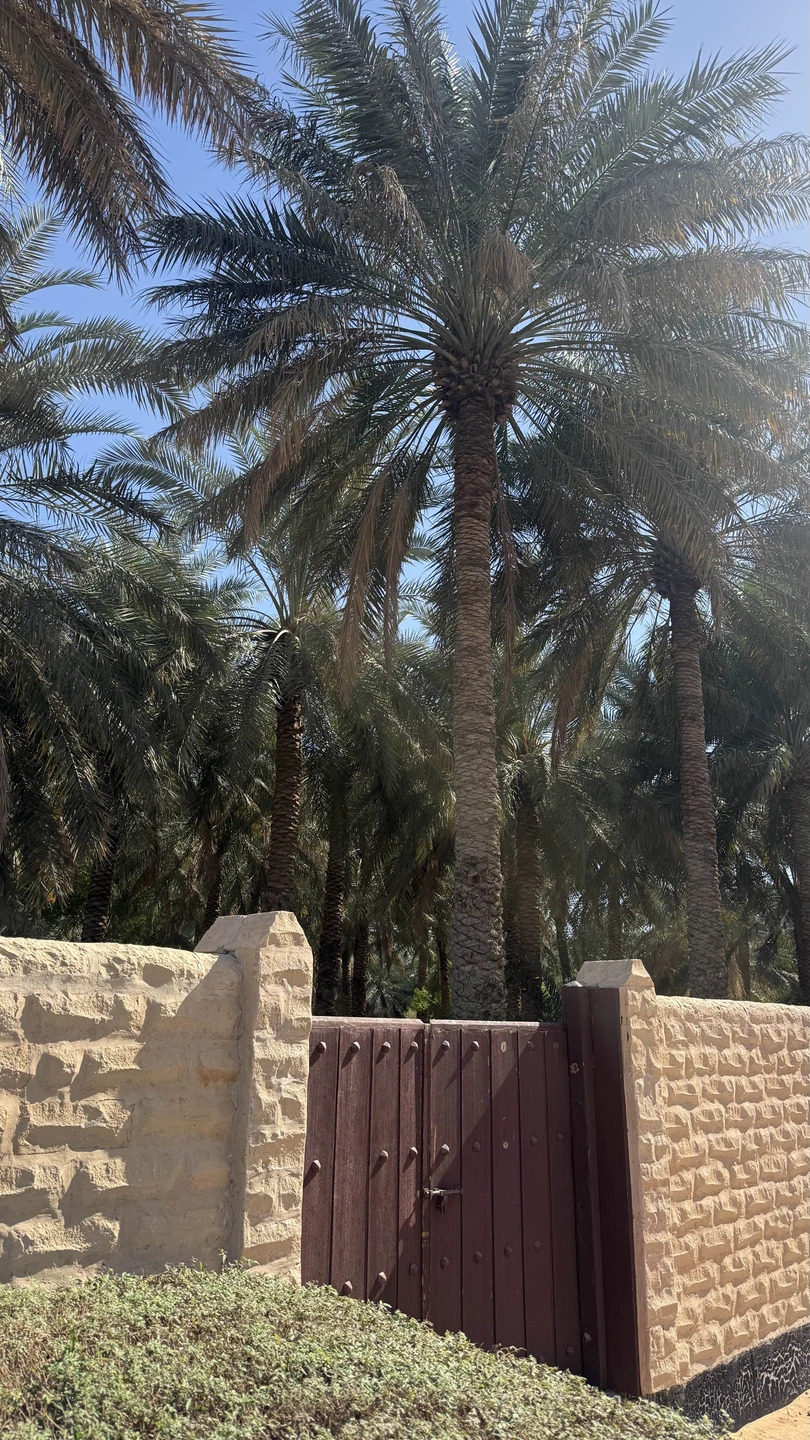 Аль-Айн — это совсем другие Эмираты! Поразительный контраст после шумных мегаполисов. Настоящий город-оазис с бесконечными пальмовыми