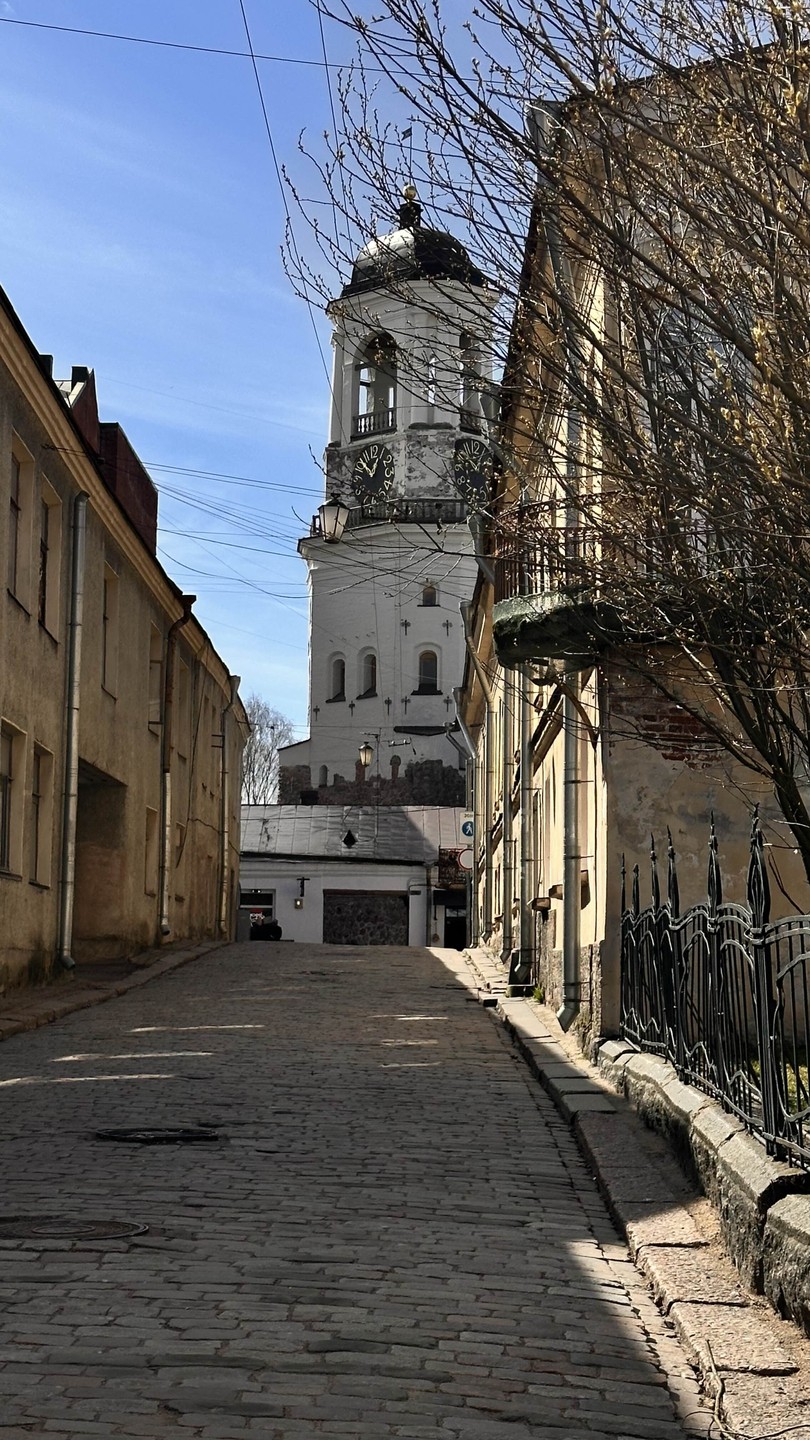 Выборг, Зеленогорск и Линия Маннергейма - однодневная экскурсия (Татьяна)