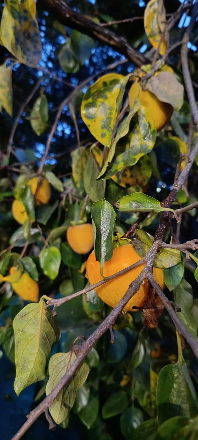 Очень душевная и конечно же вкусная гастроэкскурсия) Василий очень увлеченный своим делом человек! Нам с сыном