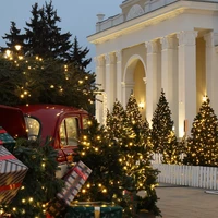 Наше путешествие в&nbsp;новогоднюю Рязань