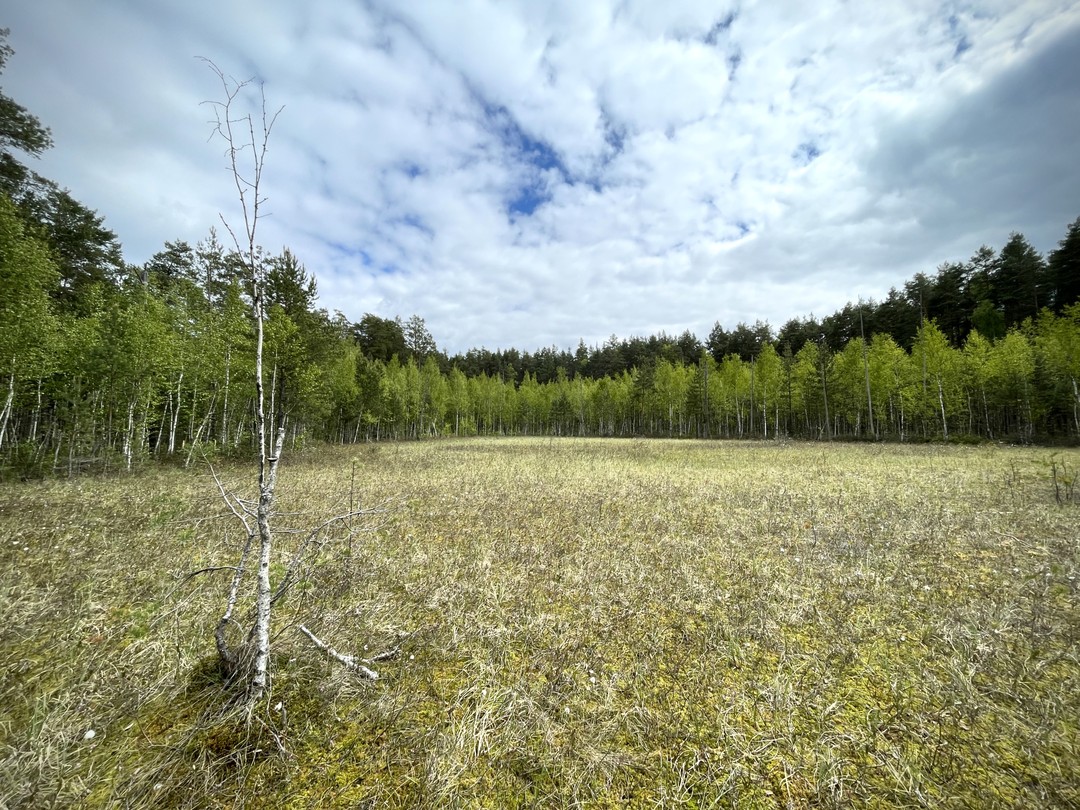 Замечательная экскурсия в последний день пребывания на Рязанской земле. Спасибо Елене за интереснейший рассказ, за гибкость