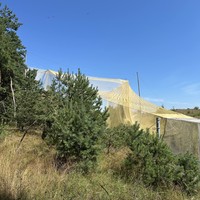 Фото отзыва 6: экскурсия "Идиллическая Куршская коса"