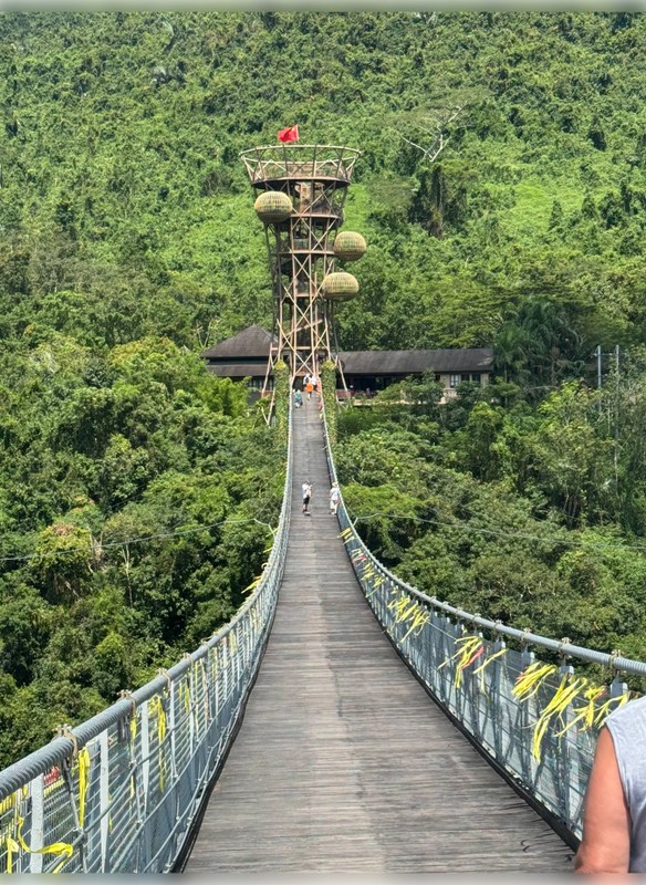 Тропический парк «Янода» и прогулка по стеклянному мосту