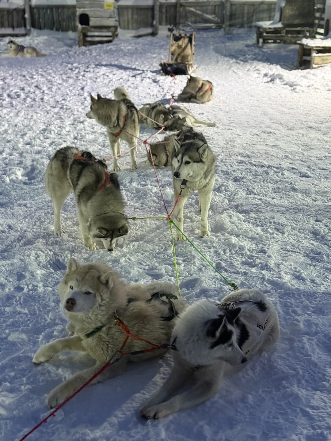 В Териберку на свидание с Баренцевым морем (Наталья)
