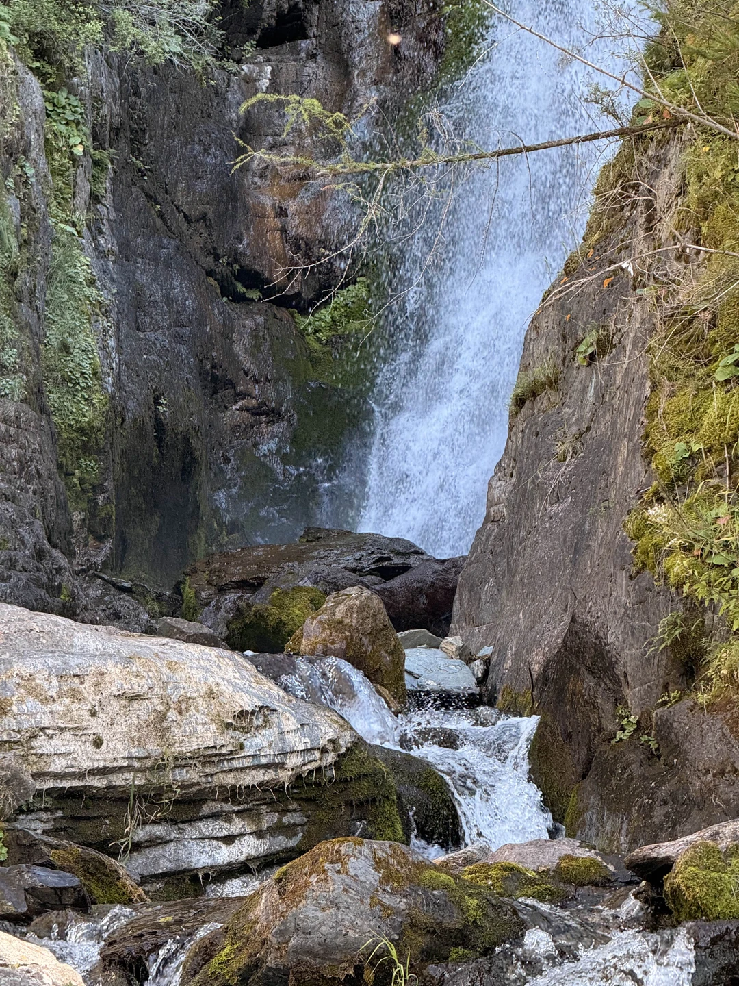 Волшебный Алтай: на джипах и пешком по предгорьям и склонам (Алина)