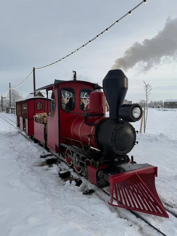 Сыр, замки и альпаки: трансфер из Калининграда