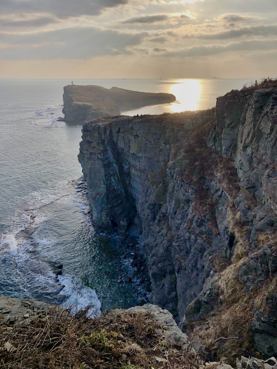 Топ-5 мысов острова Русский (Лилия)