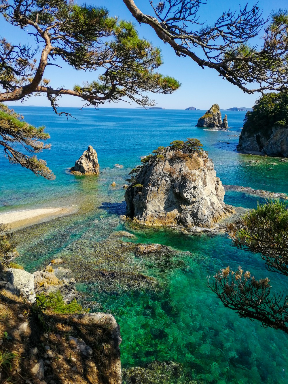 Из Владивостока — в морской заповедник у мыса Сосновый (3/6)