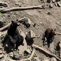 Фото отзыва 2: экскурсия "Приморский сафари-парк, водопады, бухты и мысы"