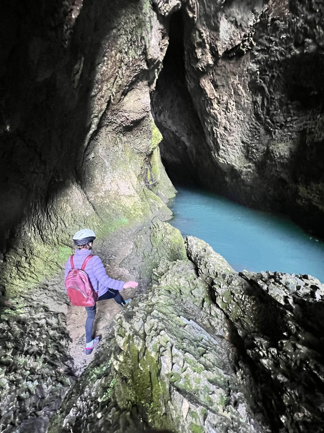 Отличная прогулка по заброшенной дороге в горах Красной поляны по осенним, залитым солнцем склонам, с заездом