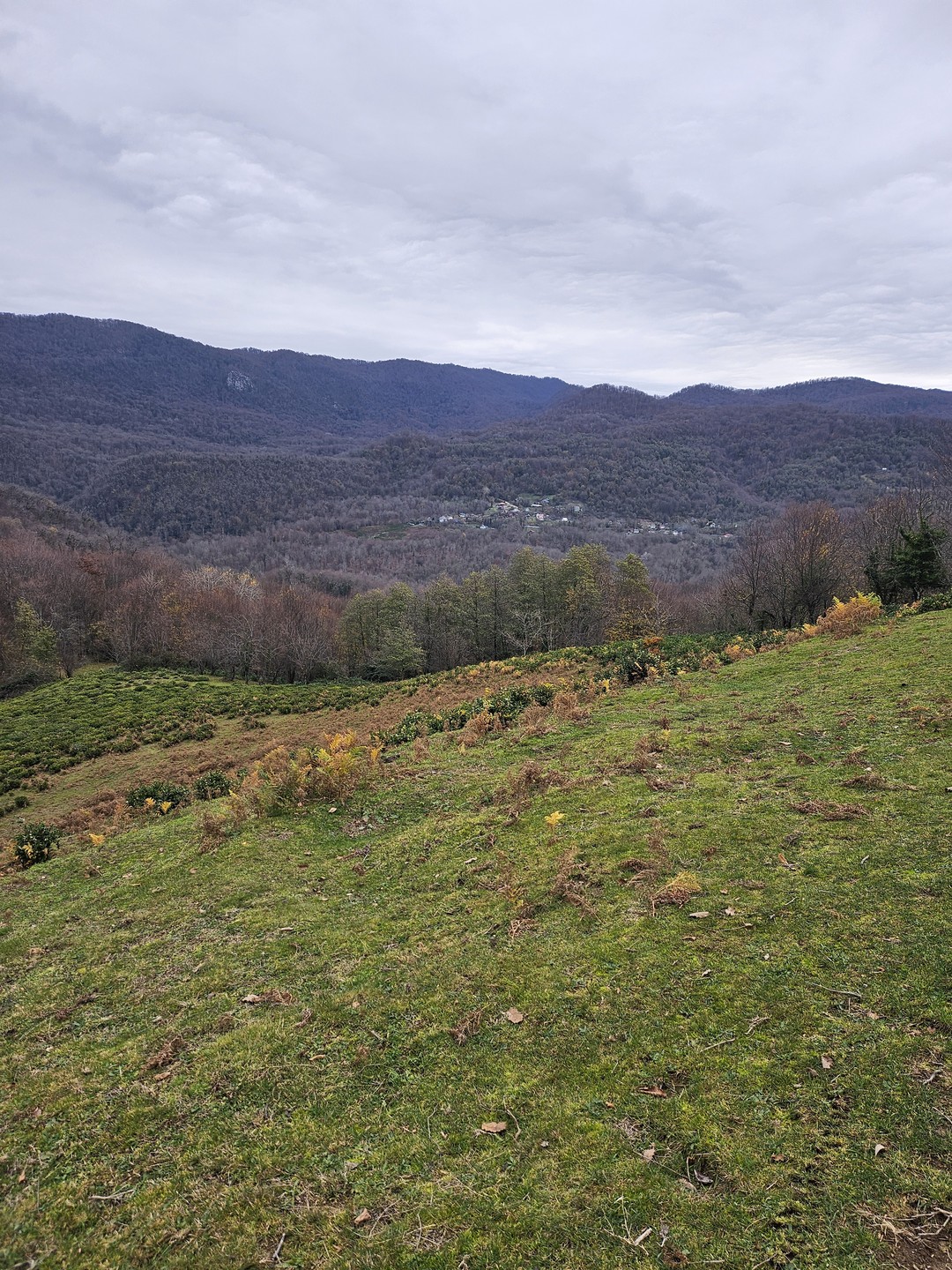 Мастер-класс очень понравился! Нас забрали от отеля, довезли до чайных плантаций и там спокойно и не