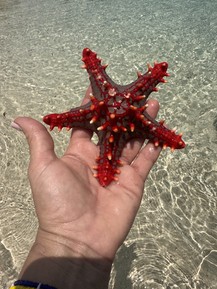 Фото отзыва 2: экскурсия "Этнодень: масайская деревня и пещера Фукучане — из Нунгви"