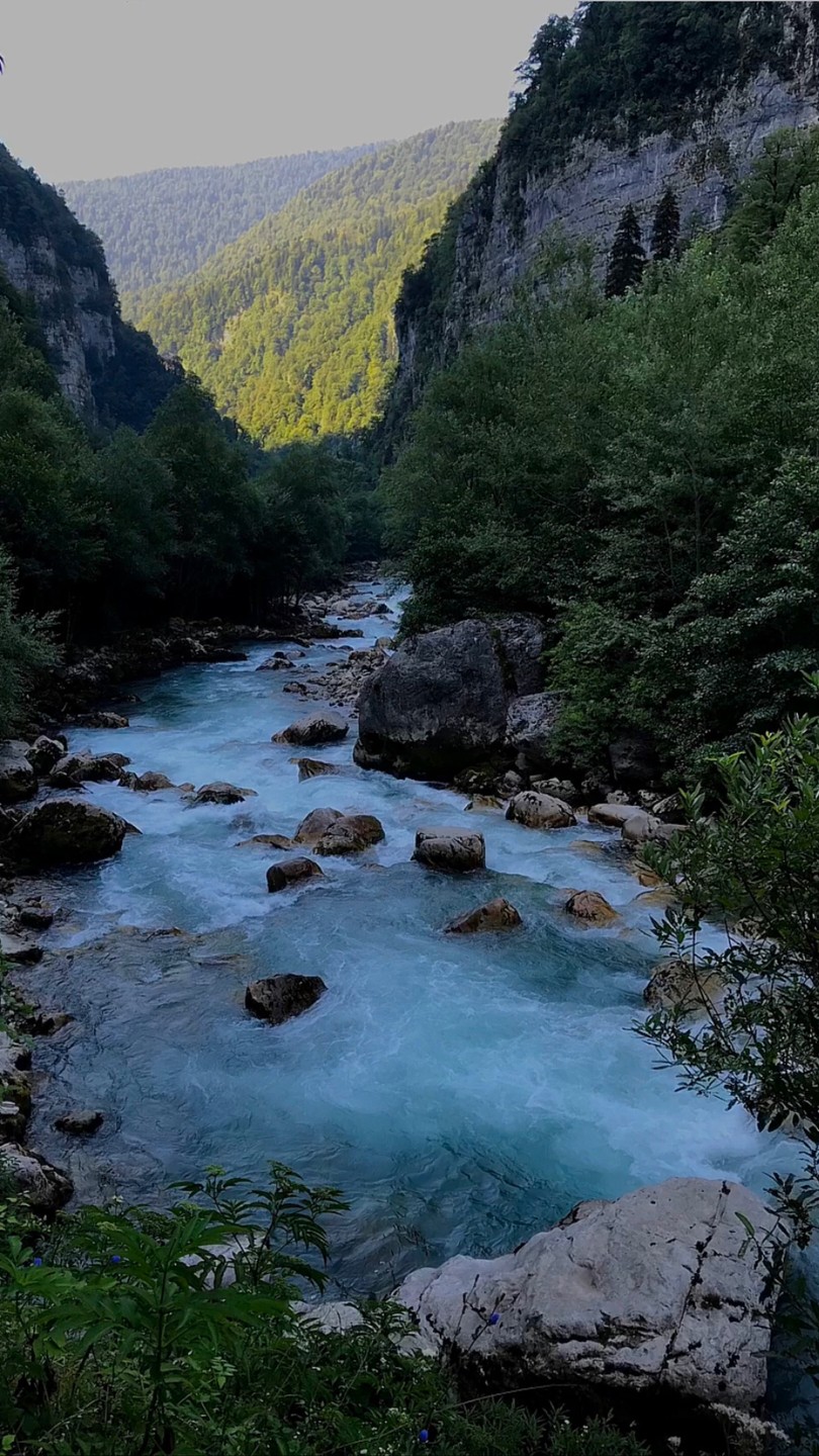 Нас компания из 4-х человек, посетили индивидуальную экскурсию с Сергеем на озеро Рица 16.08.23 года.