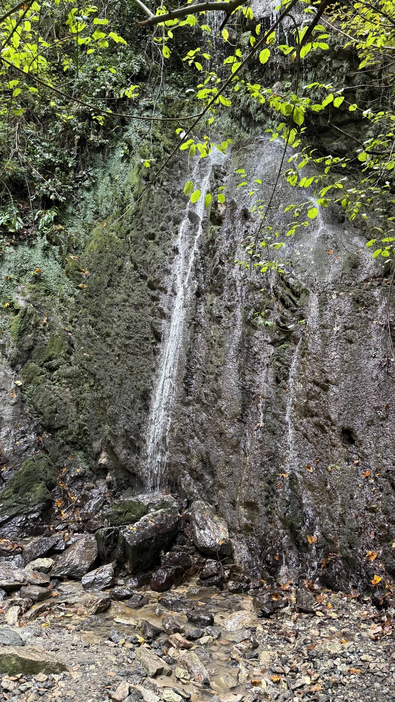 Замечательный тур и блестящий гид!