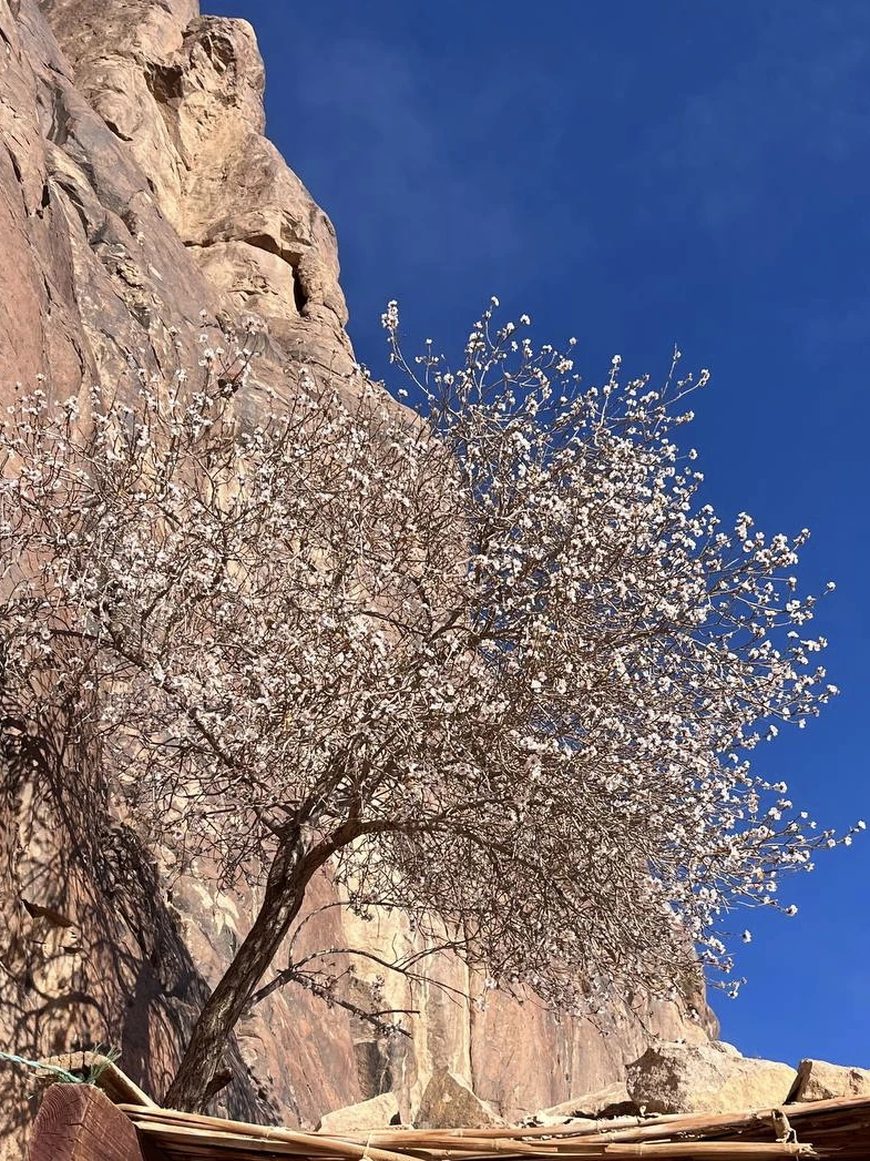 Для меня это была не просто экскурсия. Это был мой способ отпраздновать юбилей (55 лет), встретить