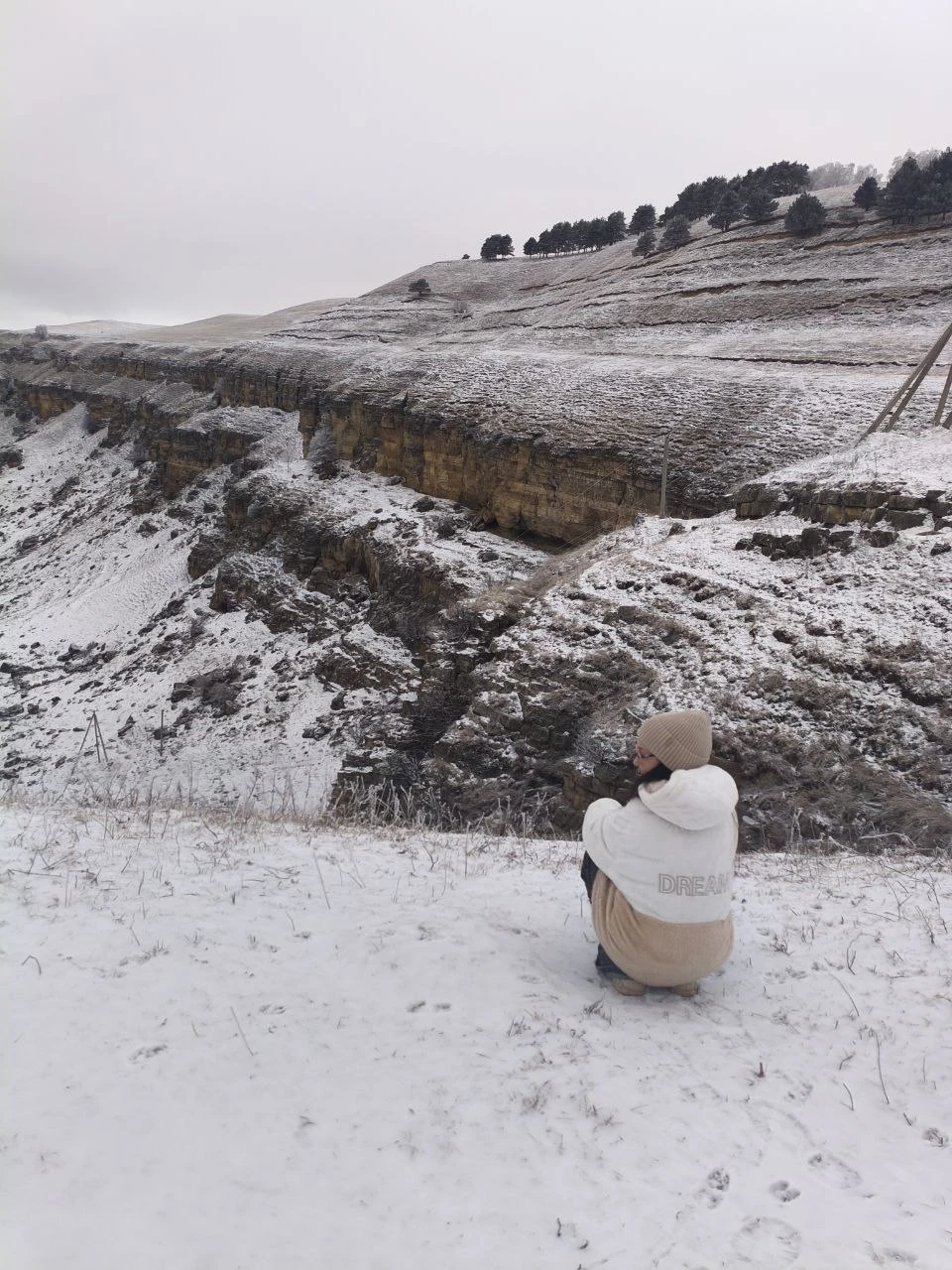 Начало февраля 2026 года ознаменовалось для нас поездкой в Кисловодск. Уже в первый день мы отправились