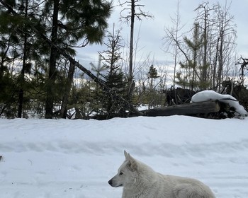 Плато Маньпупунёр