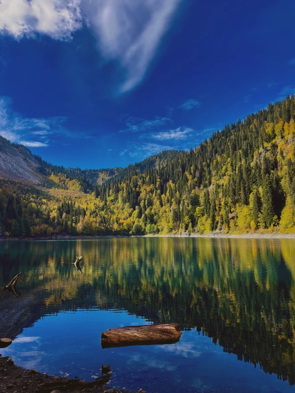 Из Гагры на озеро Рица + цитрусовые сады