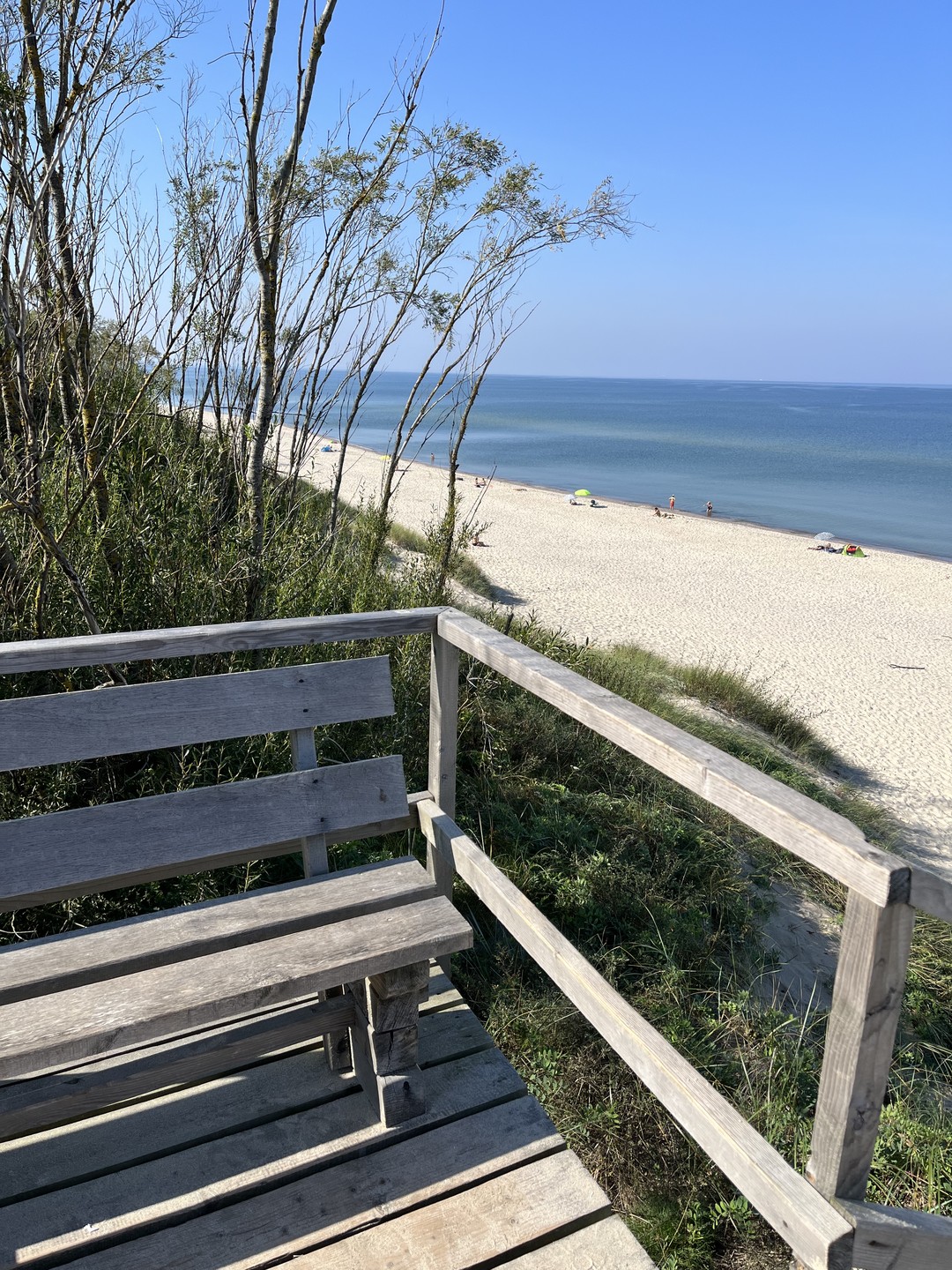 На Куршскую косу с опытным гидом - из Калининграда (Екатерина)