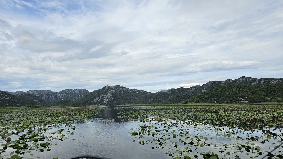 Понравилось! Великолепный, професиональный гид Олга. Спасибо