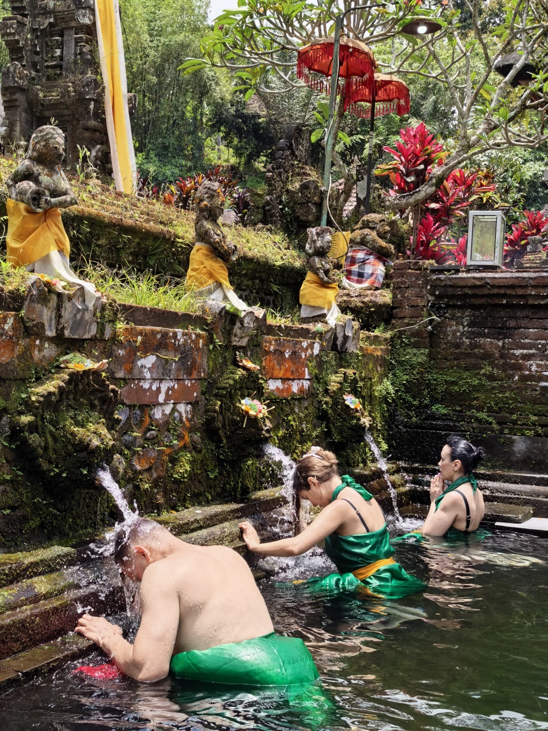 Сердце Бали: живописные плантации, парк птиц и краски Убуда (Aleksandra)