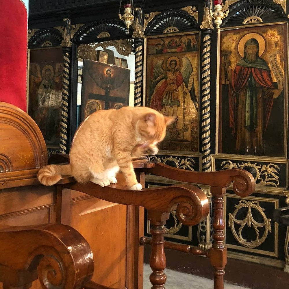Фото Стамбул — красавица и чудовище: романтика и трущобы города на Босфоре