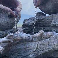 Фото отзыва 2: экскурсия "Горное плато Лаго-Наки: путешествие из Краснодара"