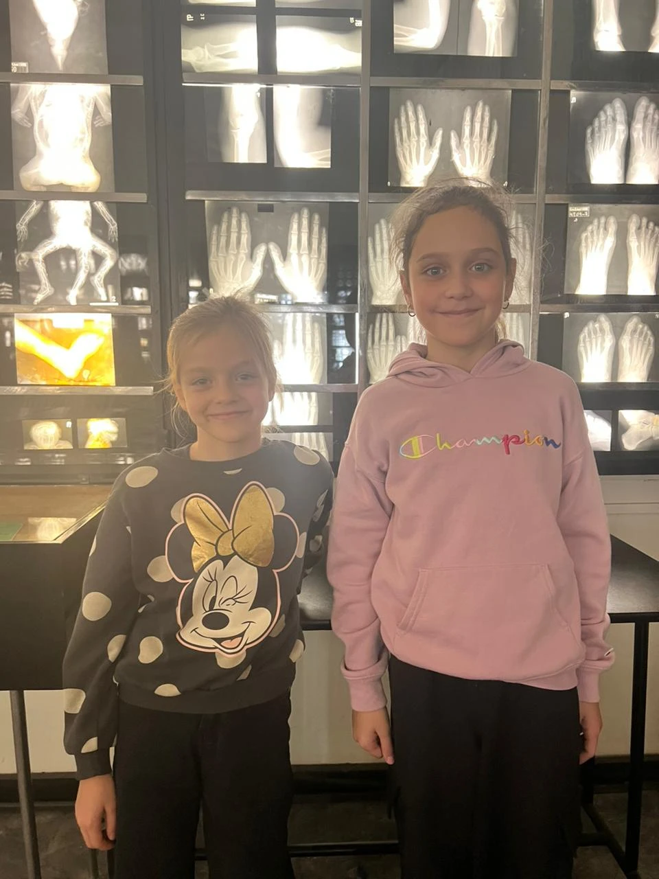 Анатомический Эрмитаж: обзорная экскурсия-лекция (Гюзелия)