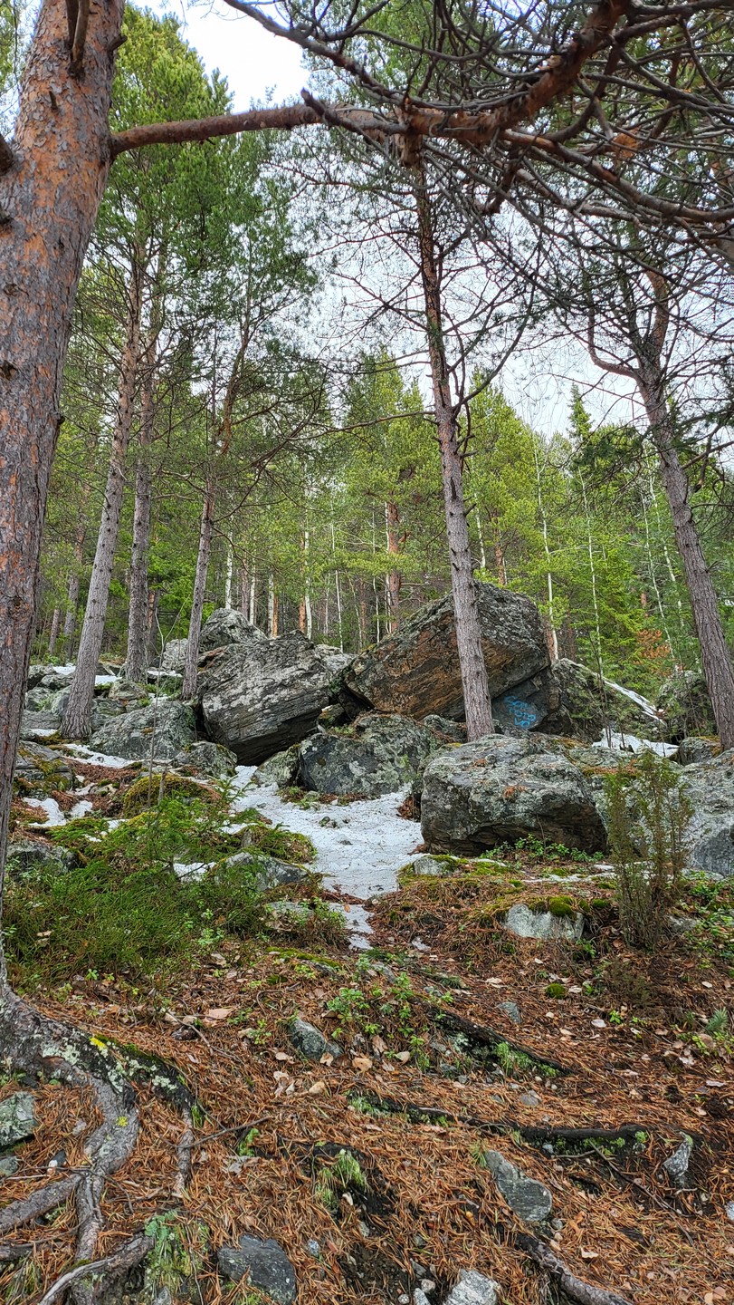 Из Мурманска в Кандалакшу - на Белое море (Карина)