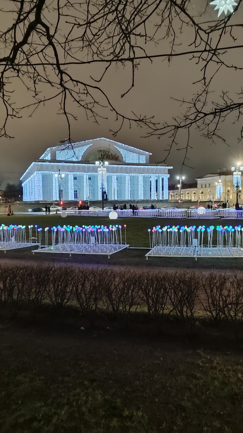 Рождественский Санкт-Петербург. Автобусная экскурсия (Яна)