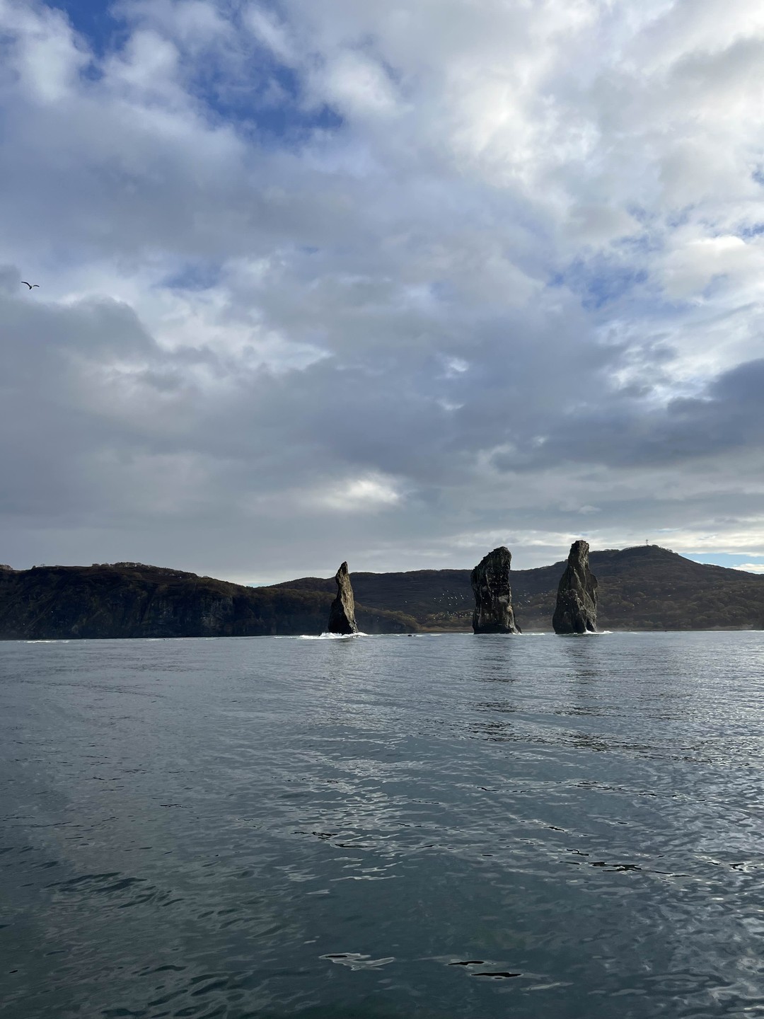 Путешествие к острову Старичков: морская рыбалка + крабовое сафари (Юлия)