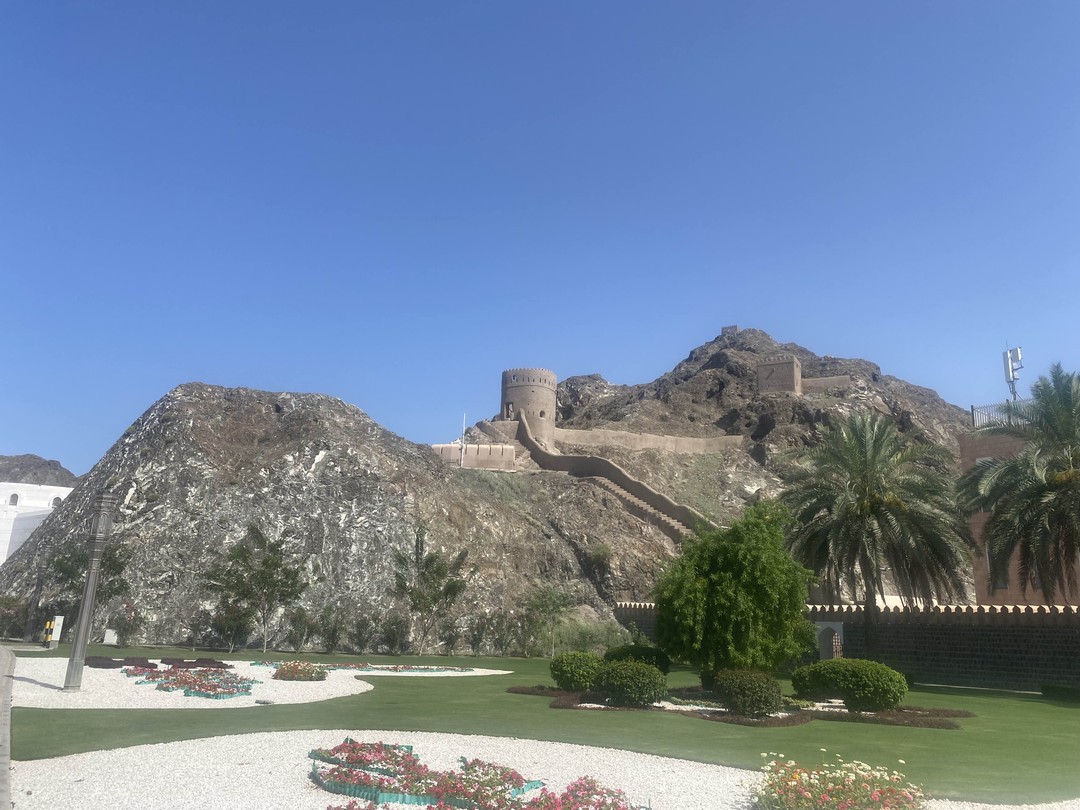 Прекрасная обзорная экскурсия по Маскату и в целом о стране Оман. Вас ждет много интересной информации о этой стране. Мне очень понравилось. и