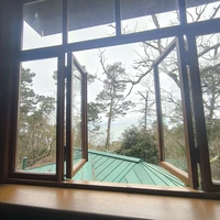 Фото отзыва 3: экскурсия "Сочи, дача Сталина и парк «Ривьера» за 1 день (из Адлера)"