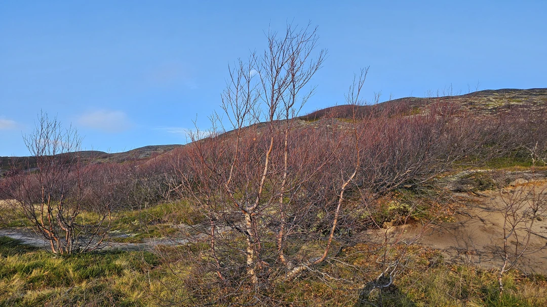 Гидом был Артём. Спасибо большое, все прошло на отлично.