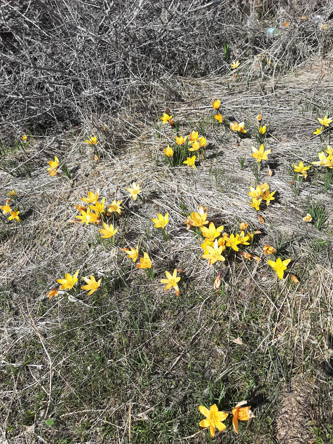 Благодарю за замечательную экскурсию Фируза. Начну с того, что у меня должна была быть групповая экскурсия