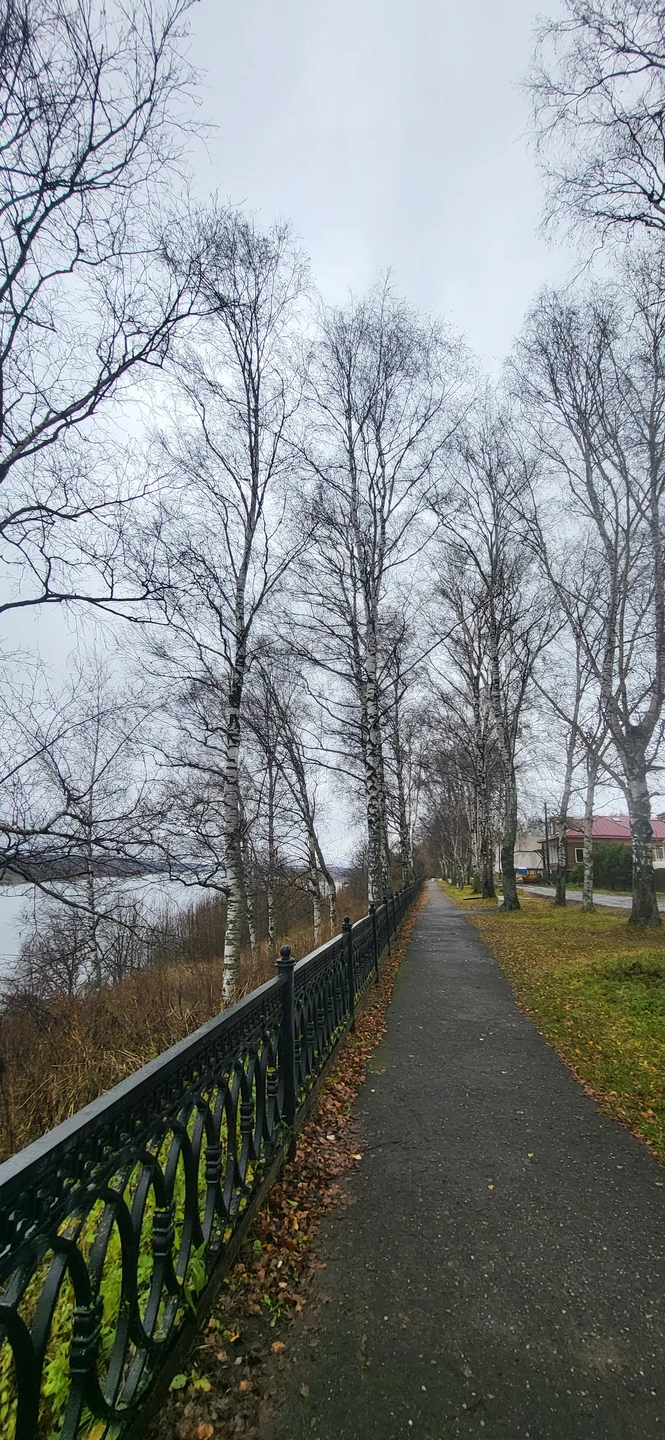 Огромное спасибо экскурсоводу Юлии за замечательно проведенную экскурсию. Хорошо продуманный маршрут, правильно выбранные обьекты для осмотра