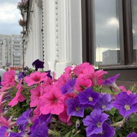 Фото отзыва 1: экскурсия "Душа Казани: Старо-Татарская слобода с аудиогидом"
