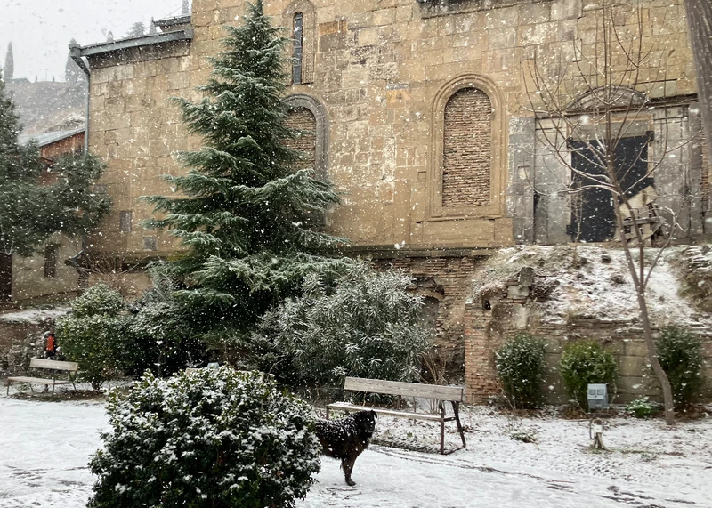 Городская азбука Тбилиси - семейное приключение