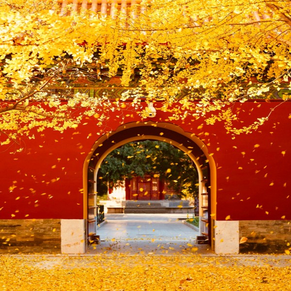 Путешествие по Запретному городу и Небесному храму