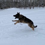 Ольга