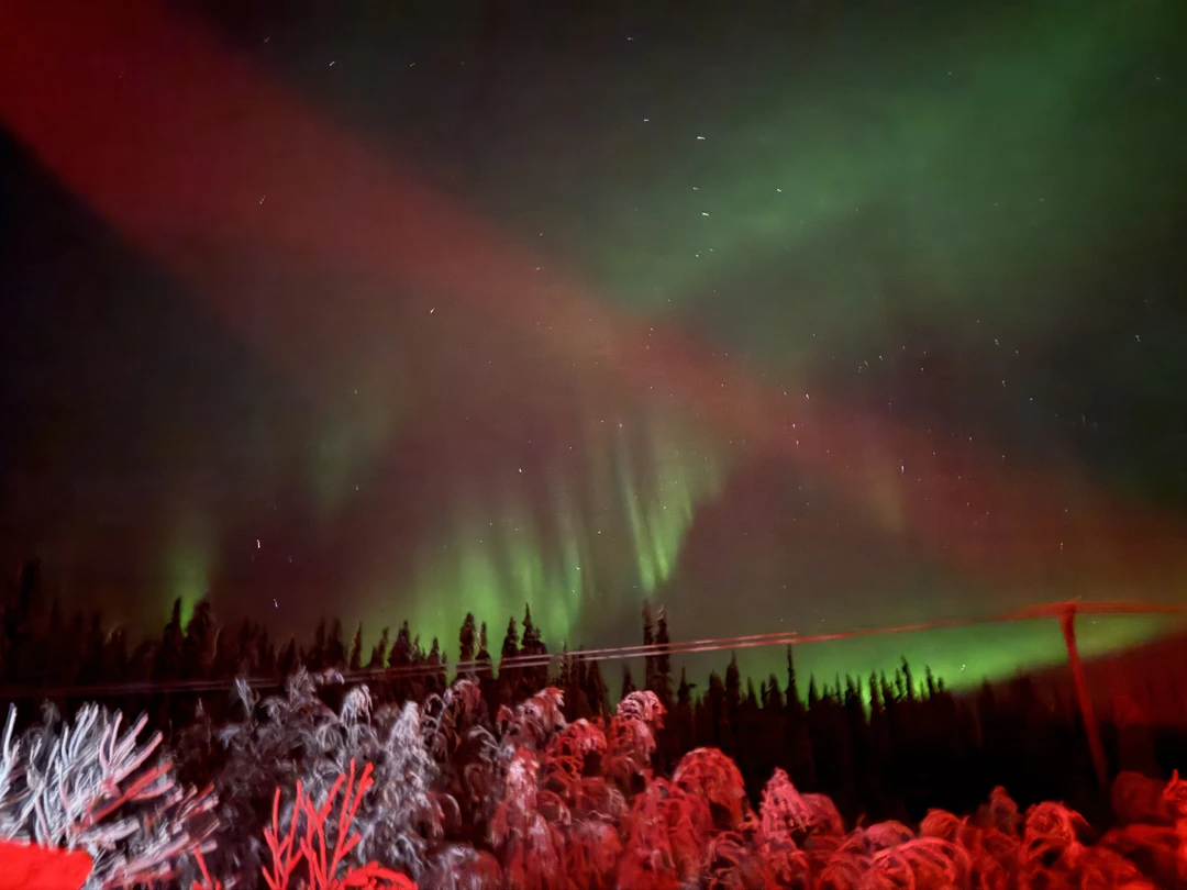 Гид Виталий понравился